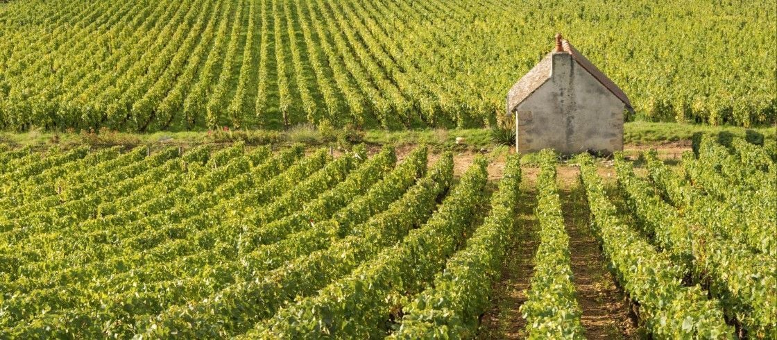 Alain DOIRE / Bourgogne-Franche-Comte Tourisme-BFC